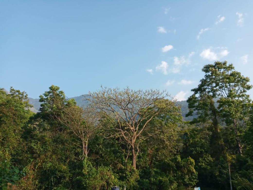Wayanad Snow Vibes Vythiri Exterior foto